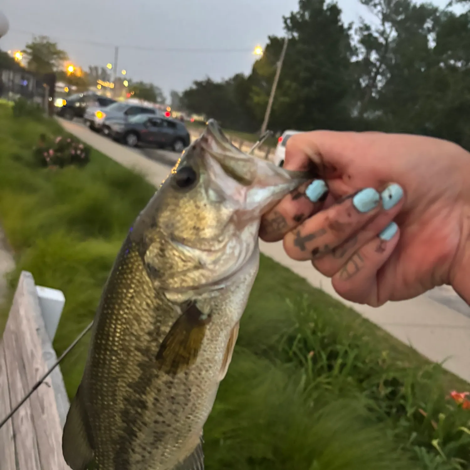 catch
