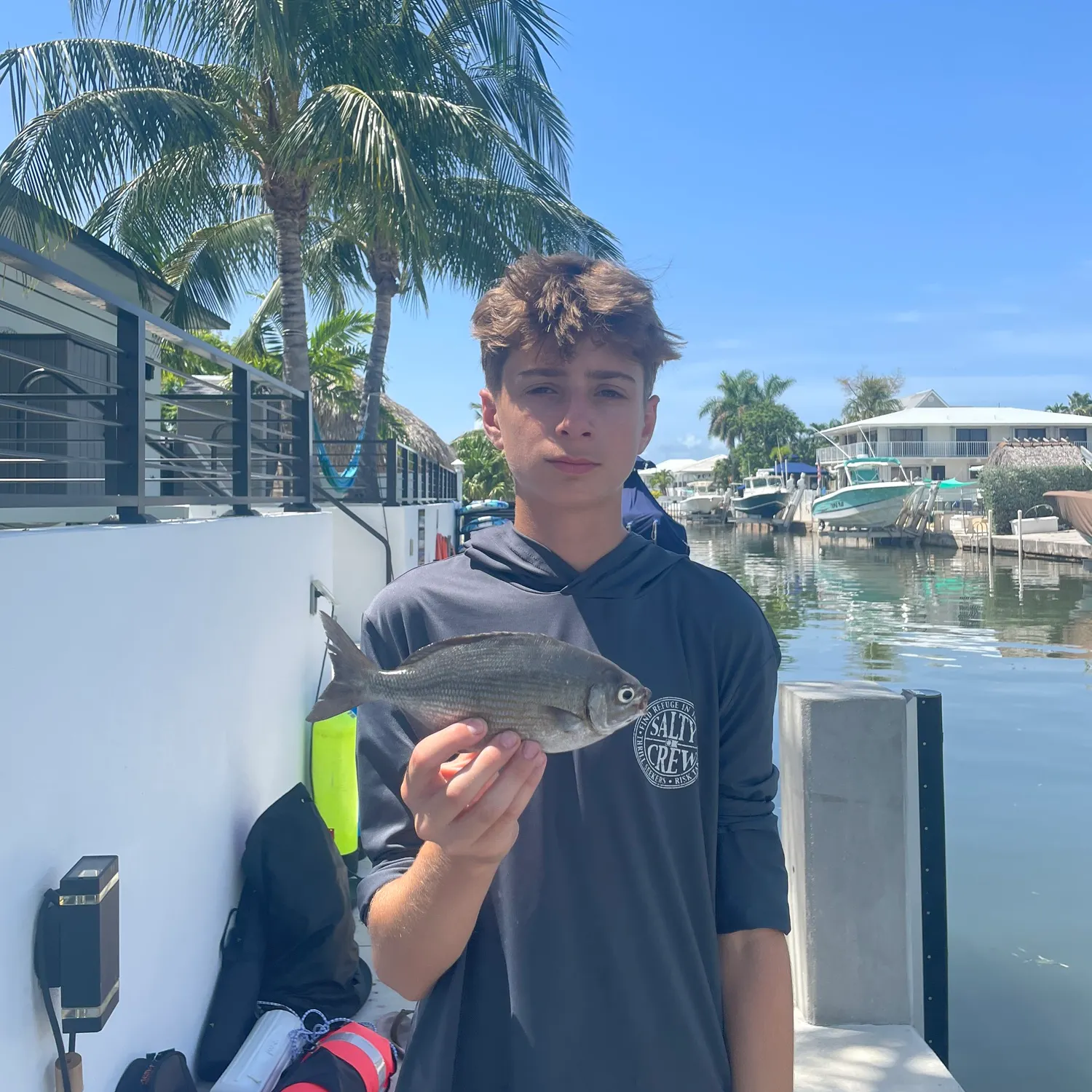 The most recent Bermuda sea chub catches on Fishbrain