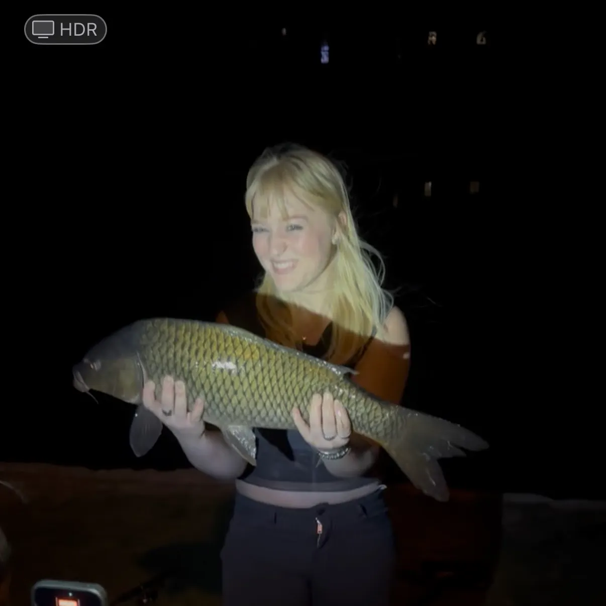 Common carp caught on Fishbrain