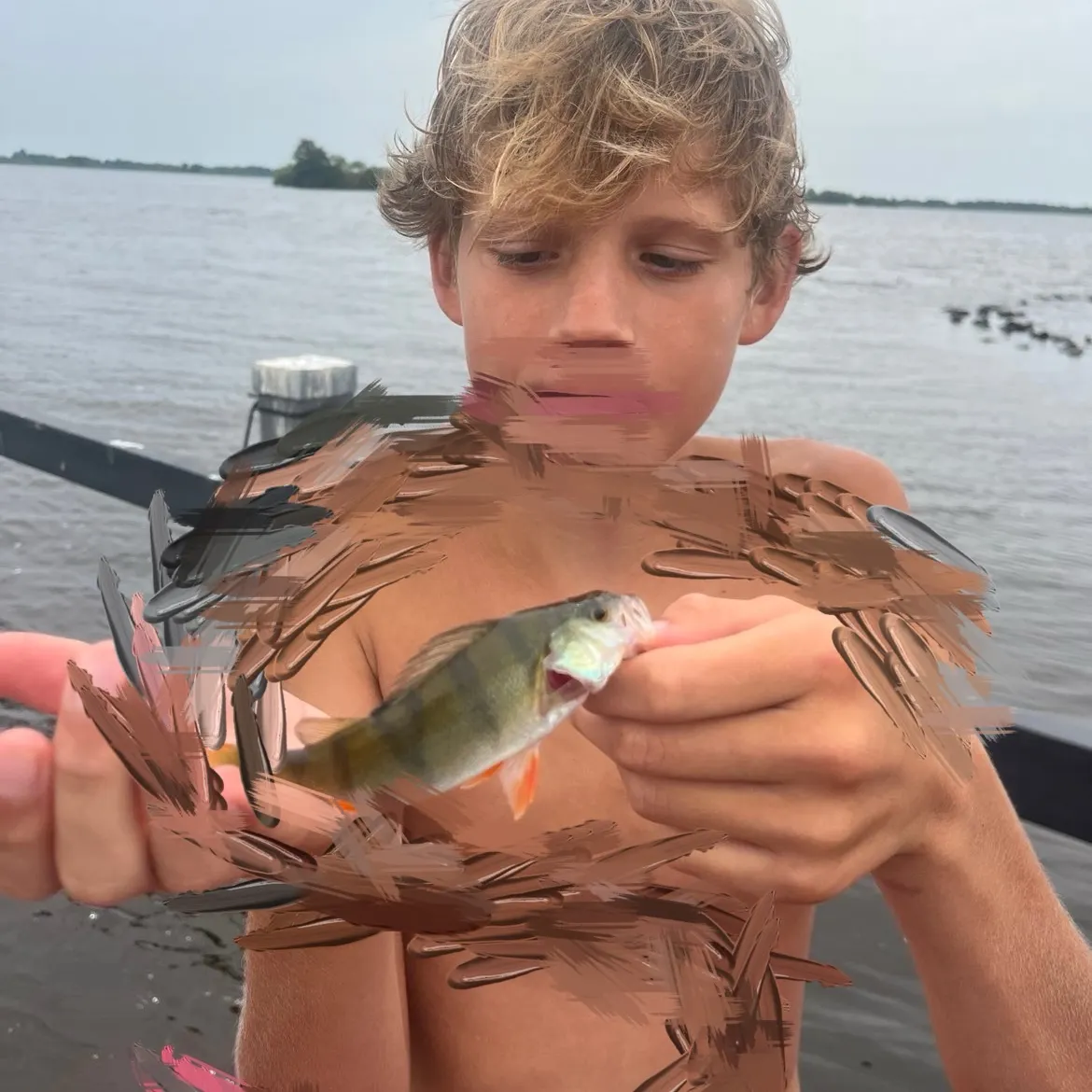 European perch caught on Fishbrain