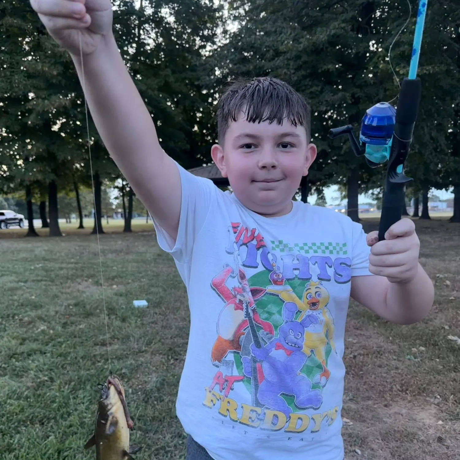 Yellow bullhead caught on Fishbrain