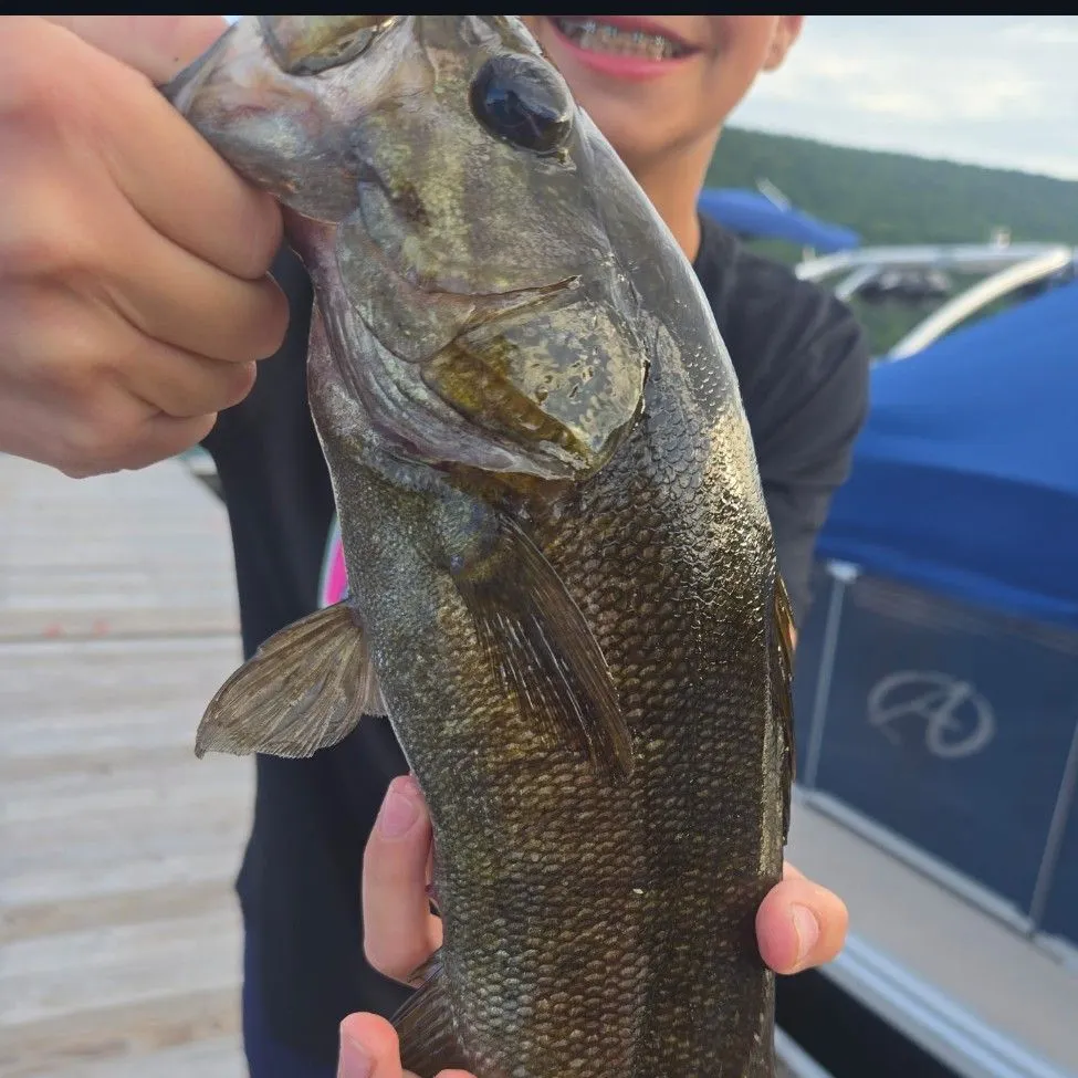 Smallmouth bass caught on Fishbrain