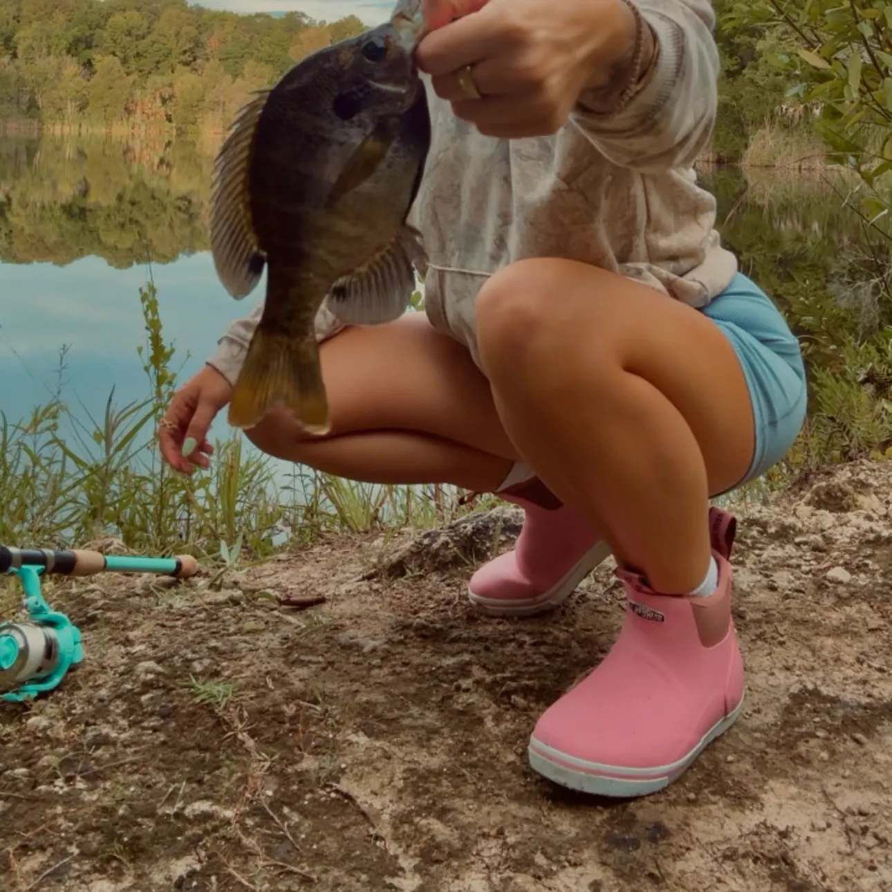 Bluegill caught on Fishbrain