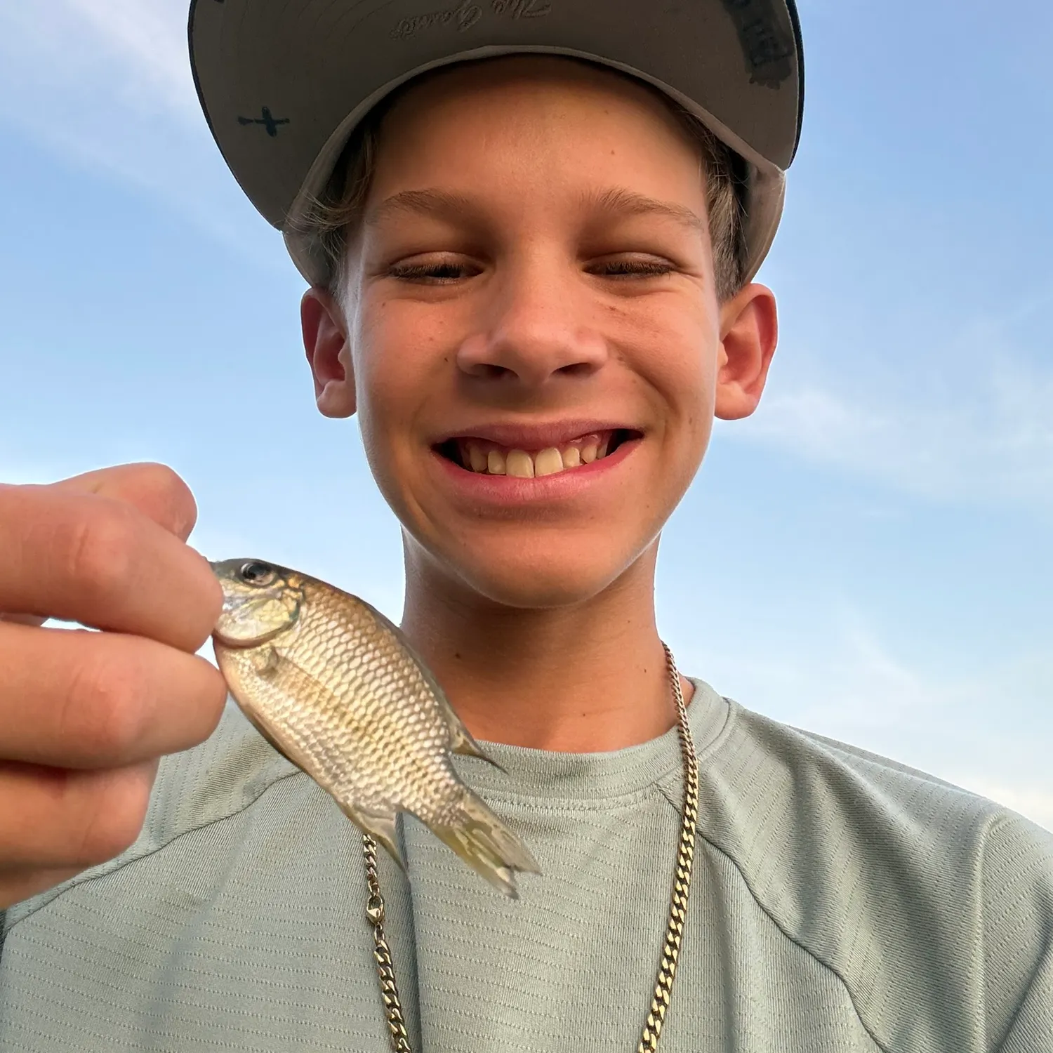 The most recent Bronze seabream catches on Fishbrain