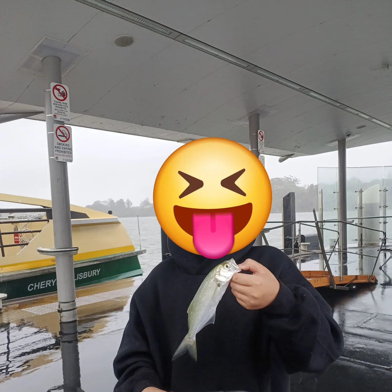 Bluefish caught on Fishbrain