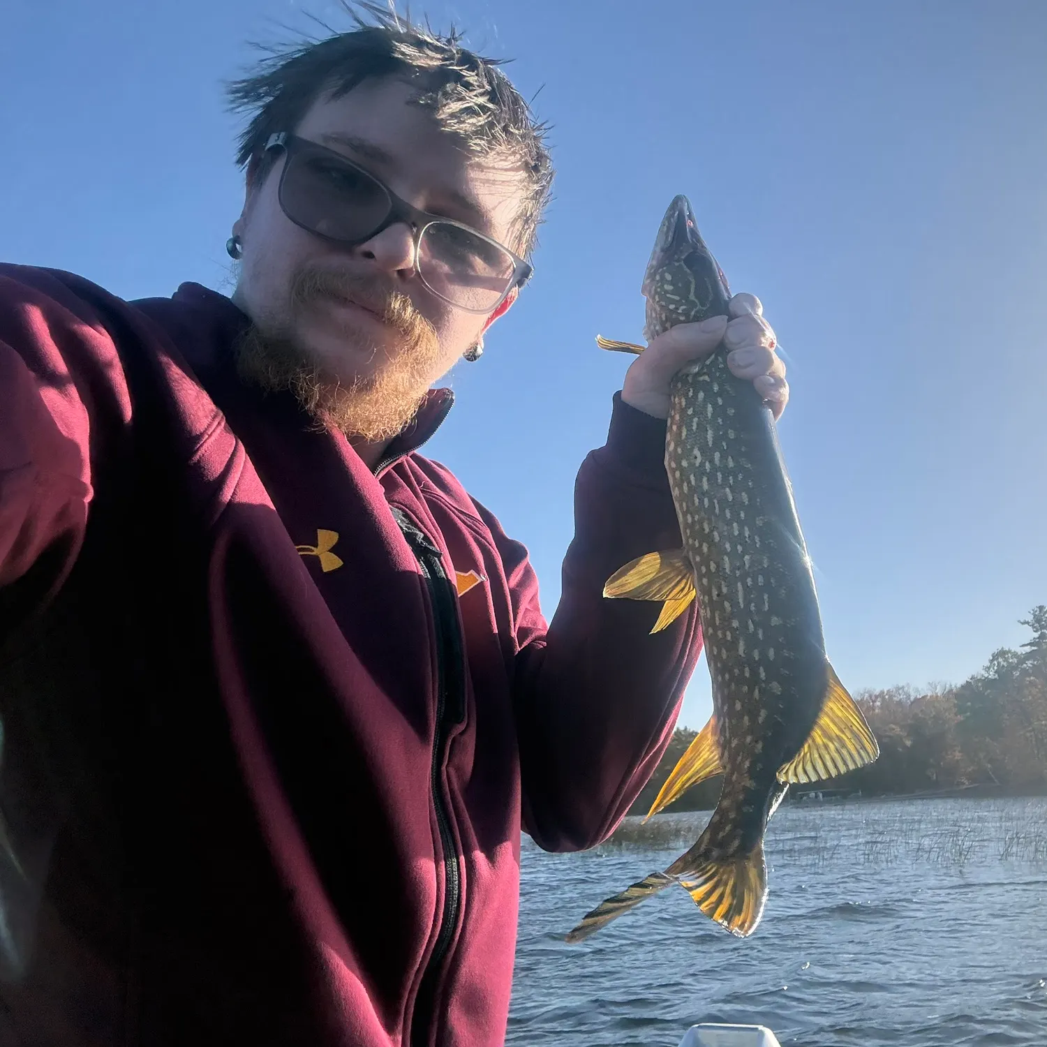 Northern pike caught on Fishbrain