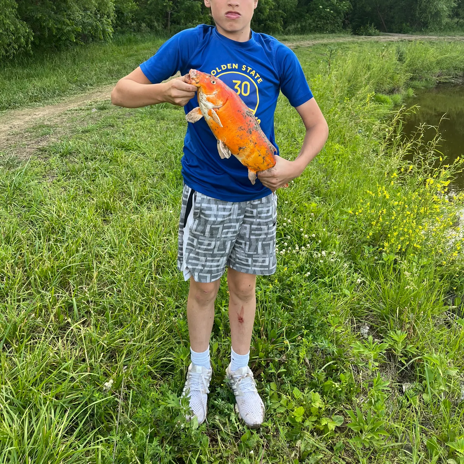 most liked catch image