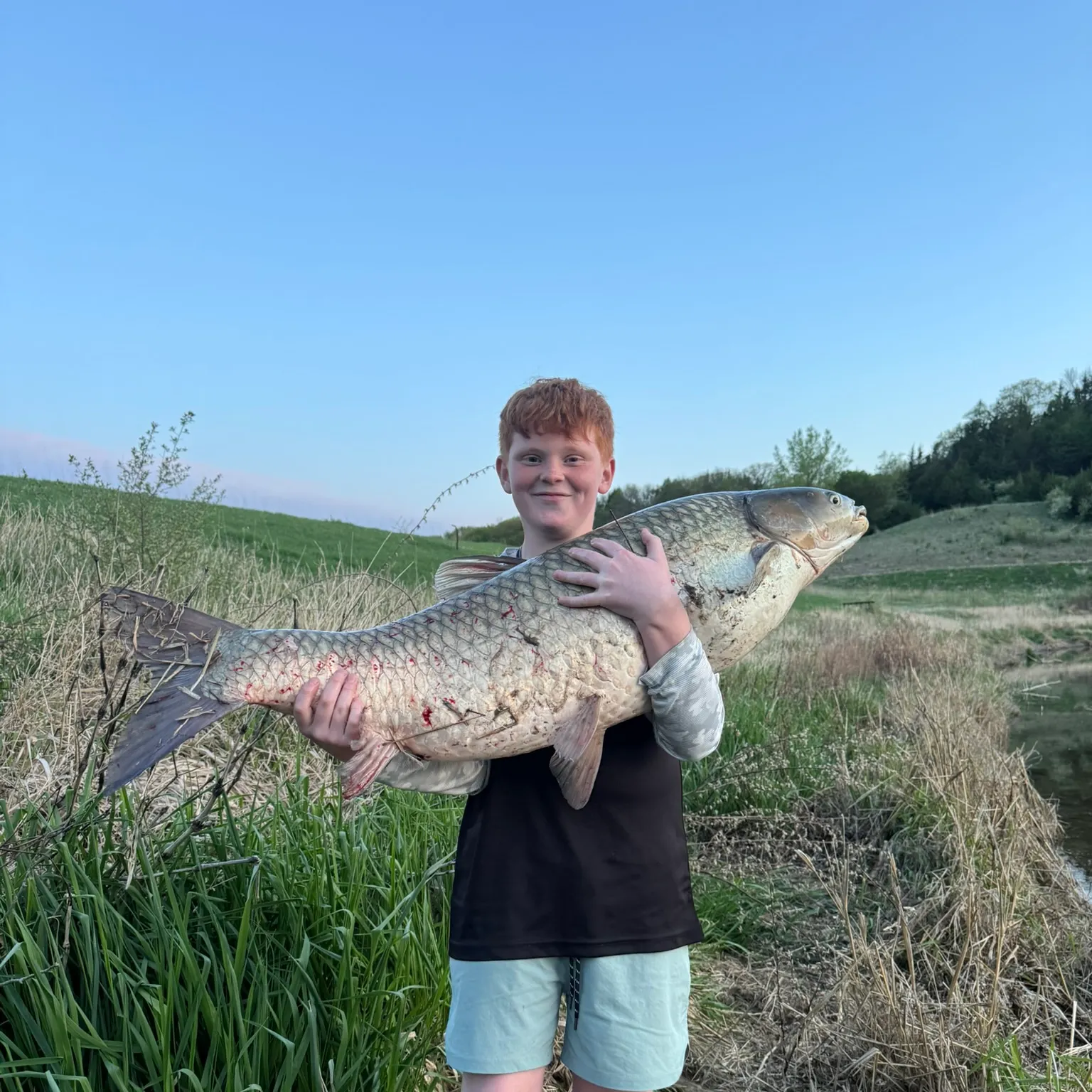 The most recent Grass carp catches on Fishbrain