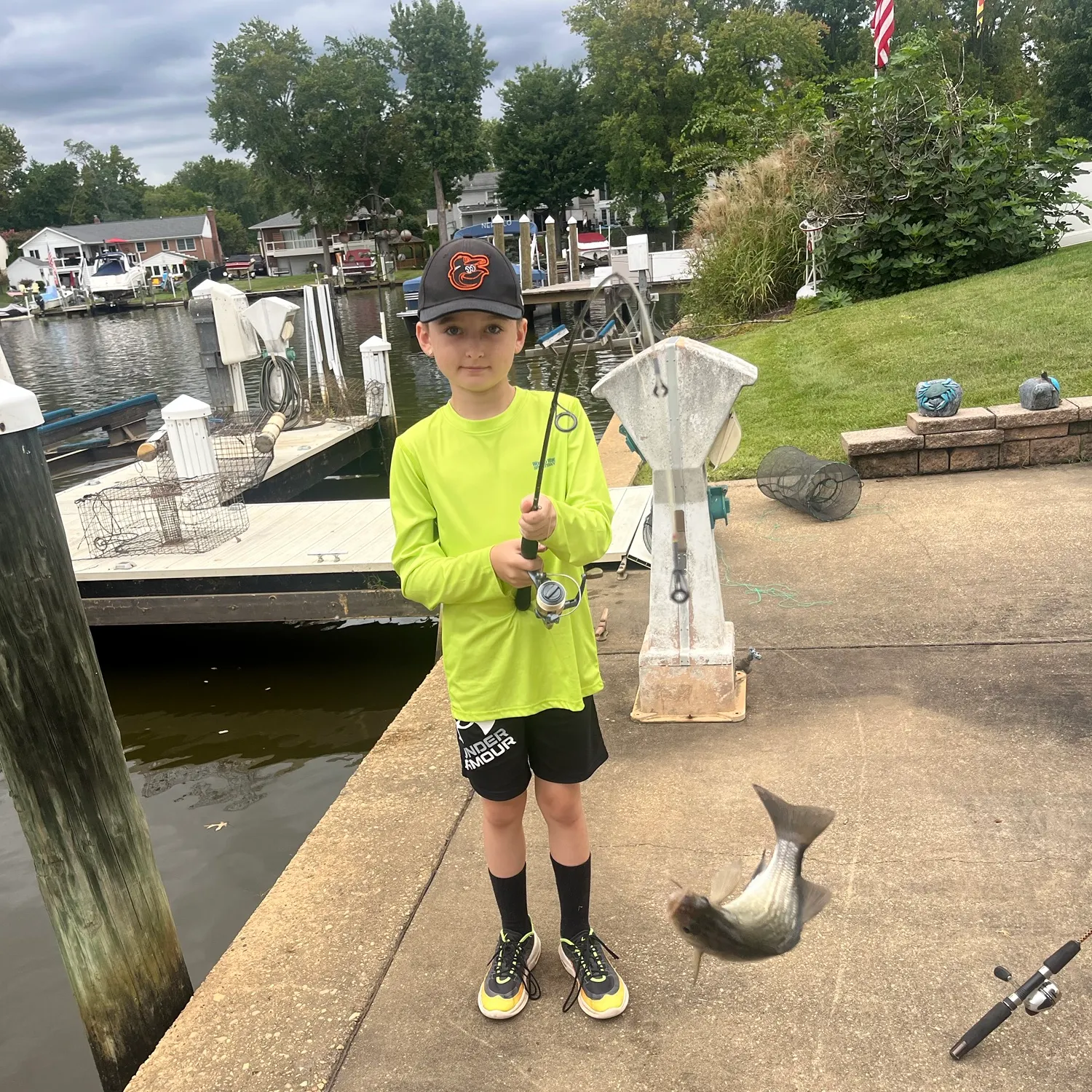 White perch caught on Fishbrain