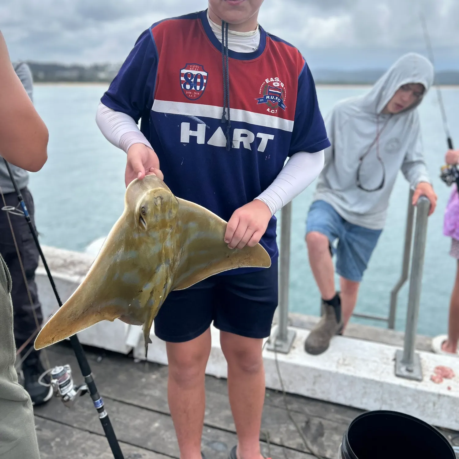 The most recent Australian bull ray catches on Fishbrain