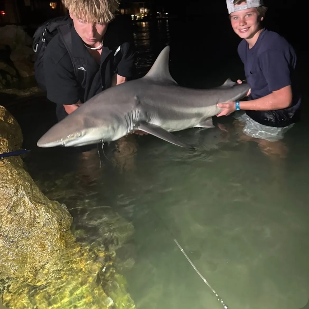 The most recent Blacktip shark catches on Fishbrain