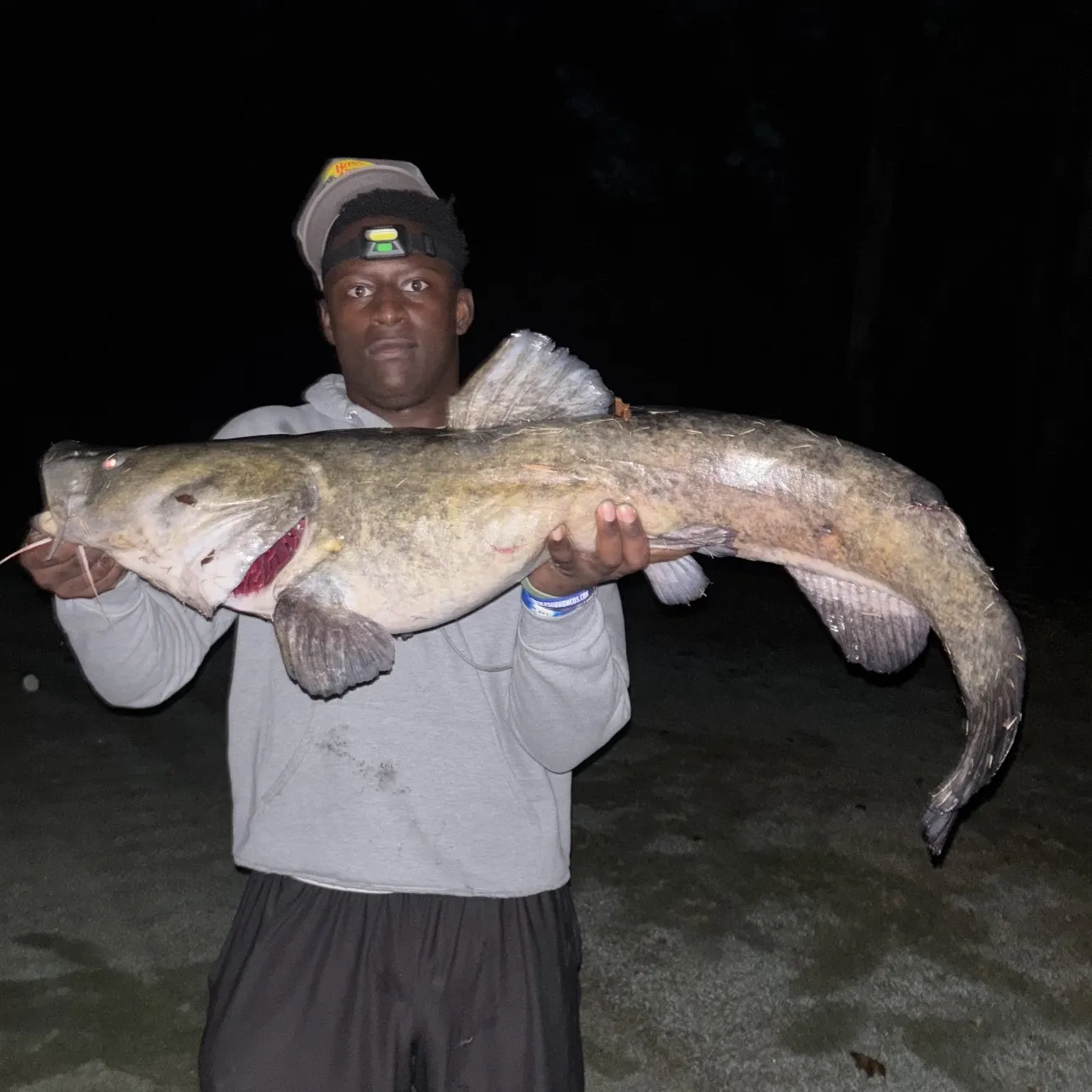 The most recent Flathead catfish catches on Fishbrain