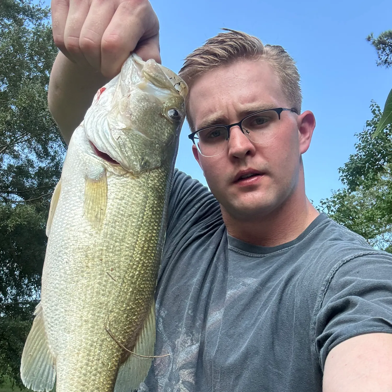 Largemouth bass caught on Fishbrain