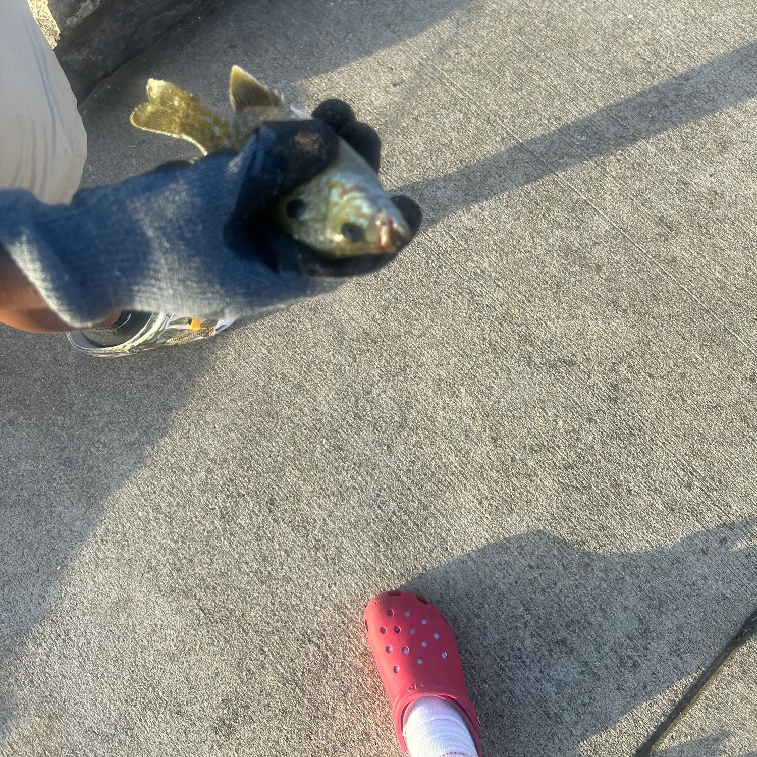 catch