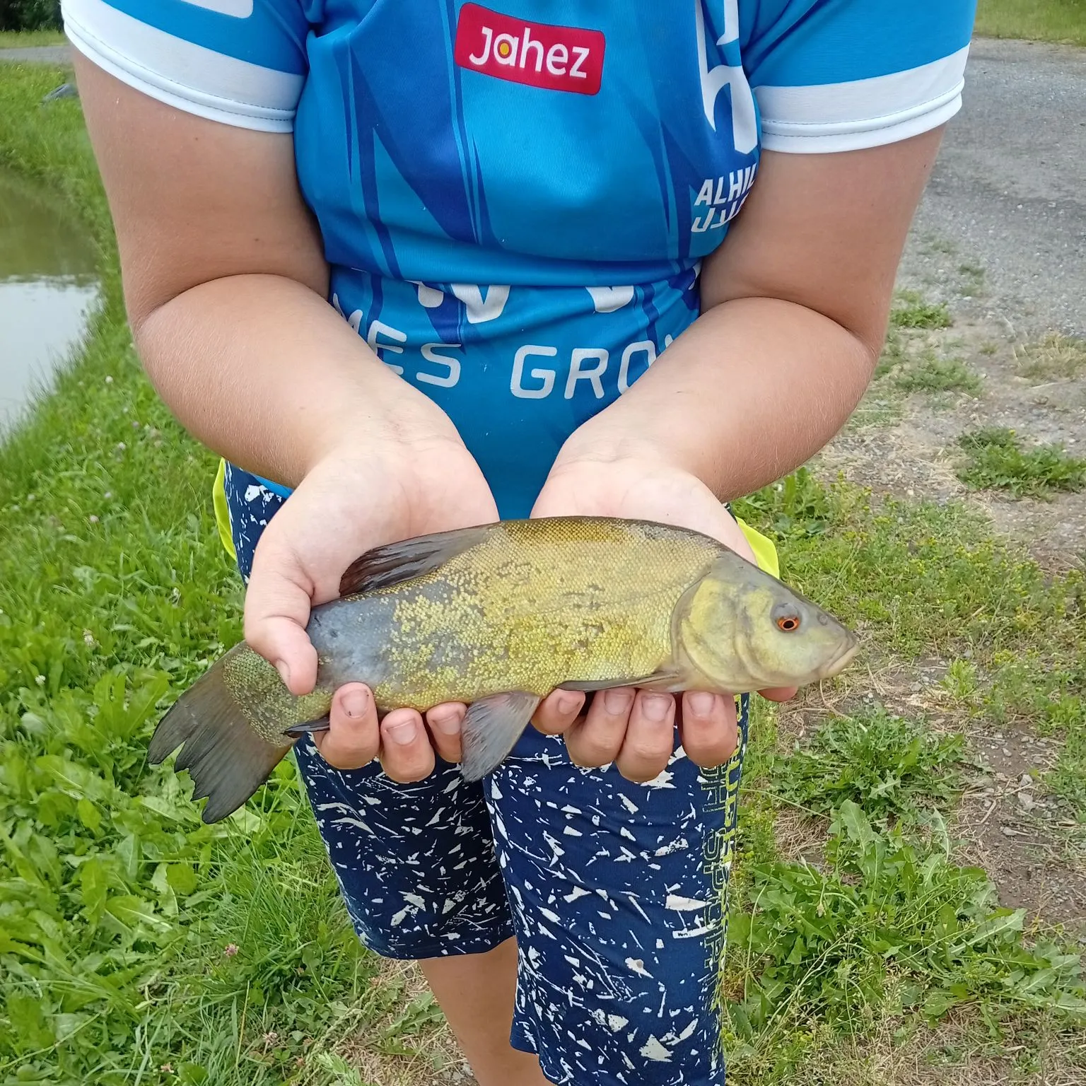 Tench caught on Fishbrain