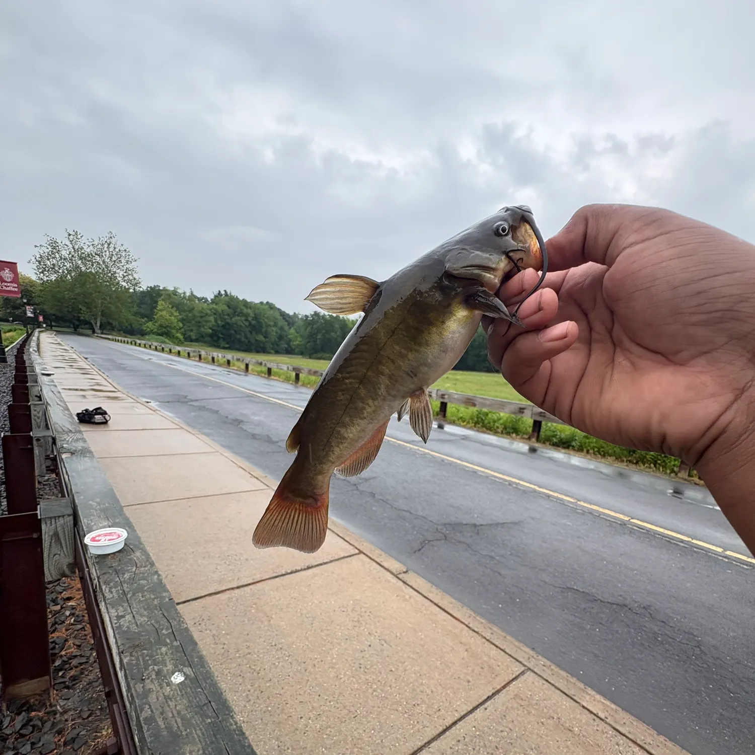 catch