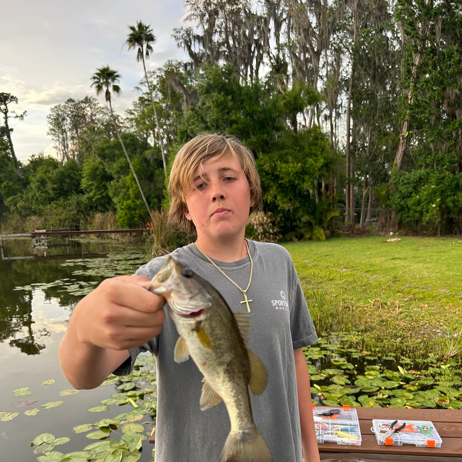 The most recent F1 bass catches on Fishbrain