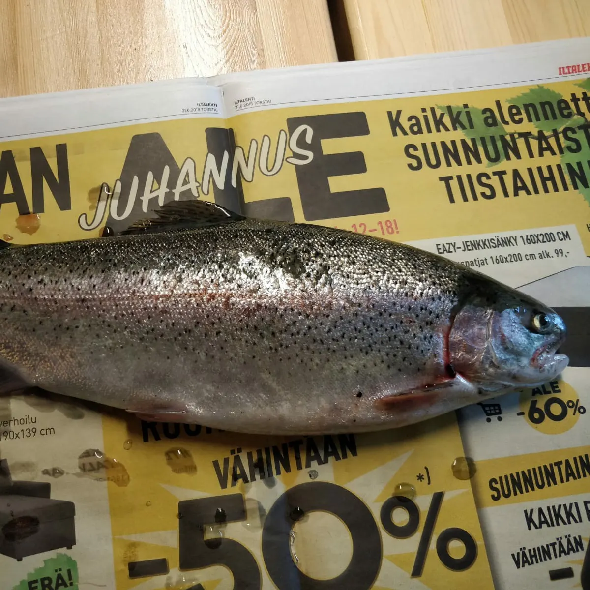 recently logged catches