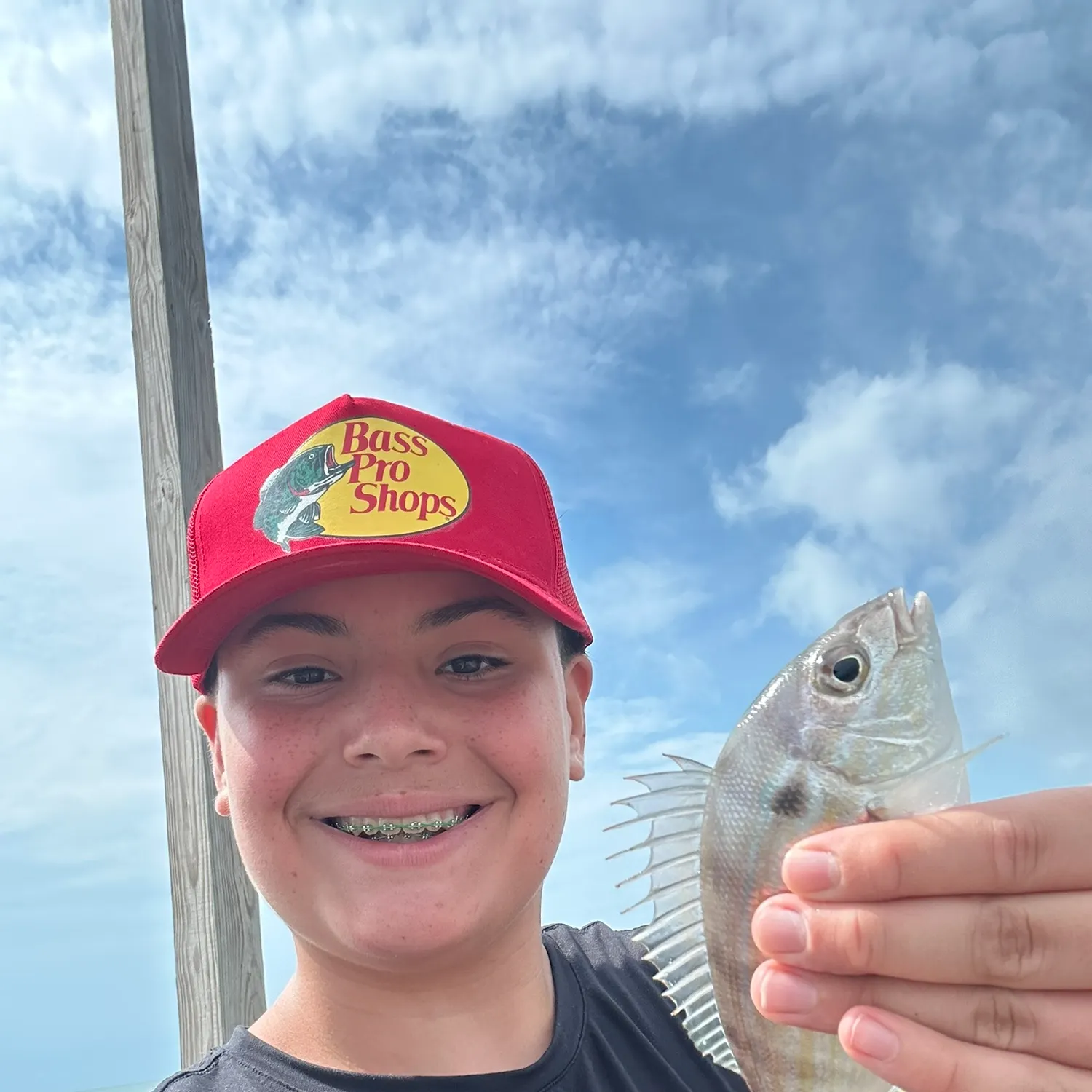 Pinfish caught on Fishbrain