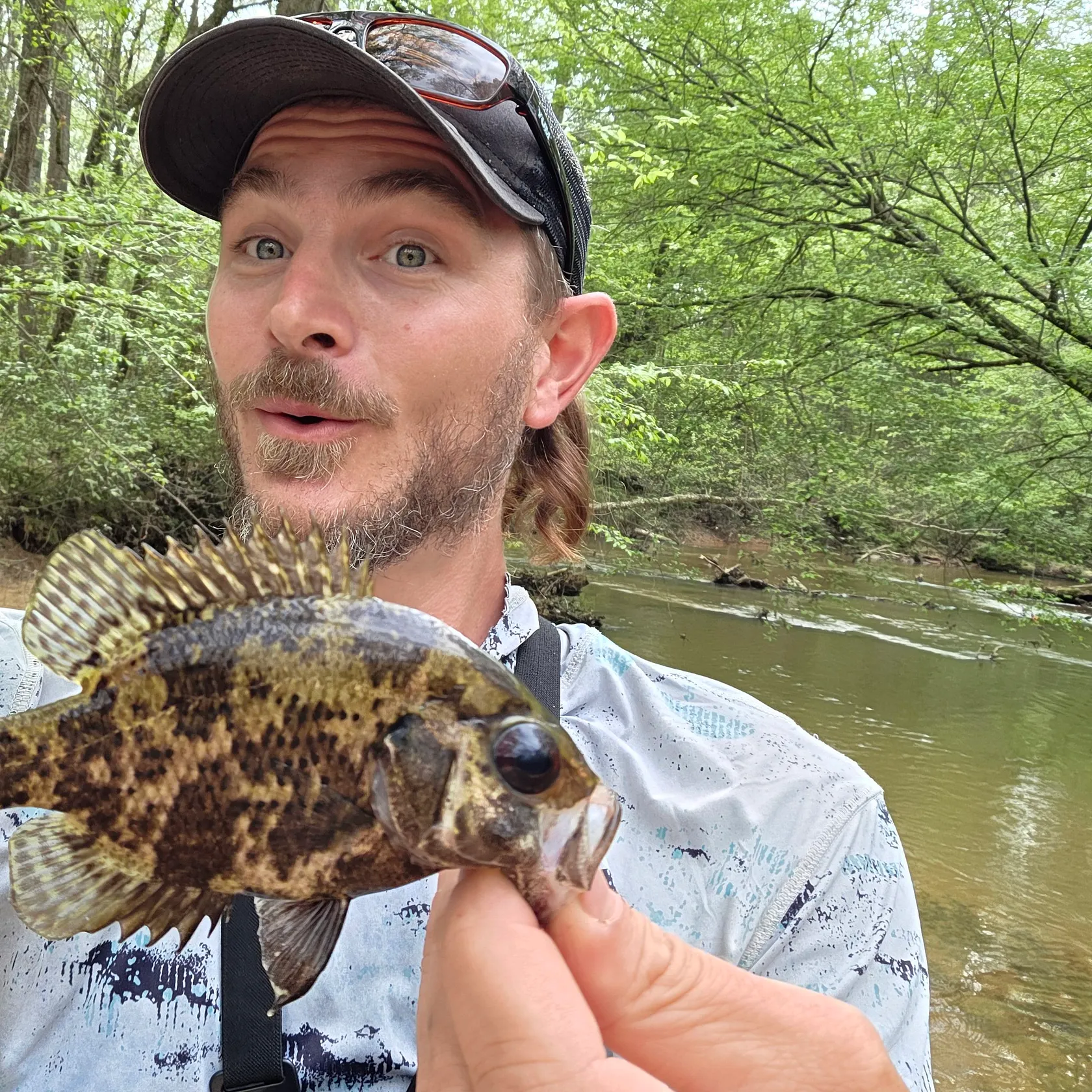 The most recent Shadow bass catches on Fishbrain