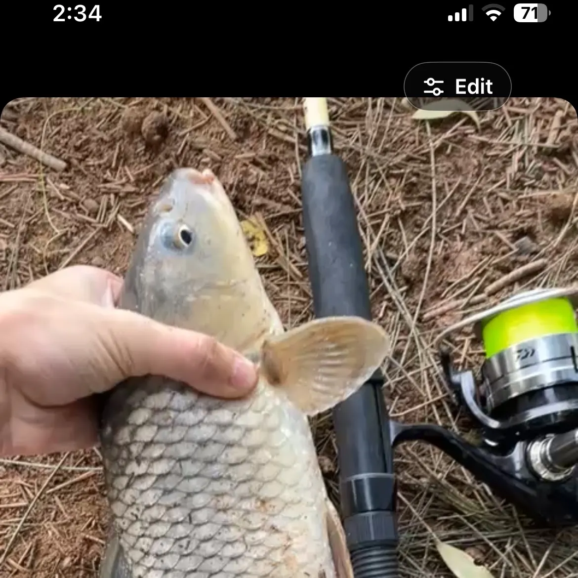 recently logged catches