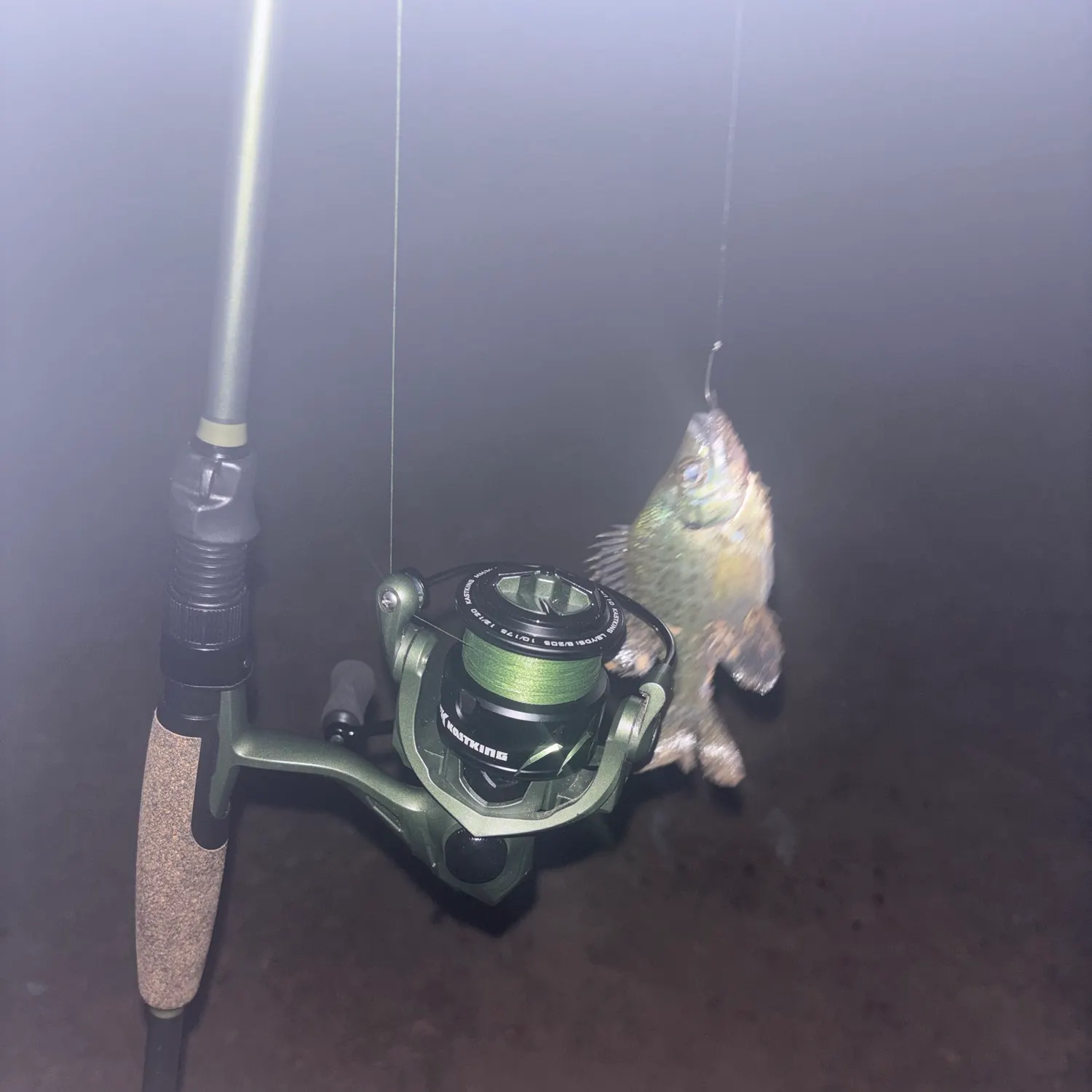 Bluegill caught on Fishbrain
