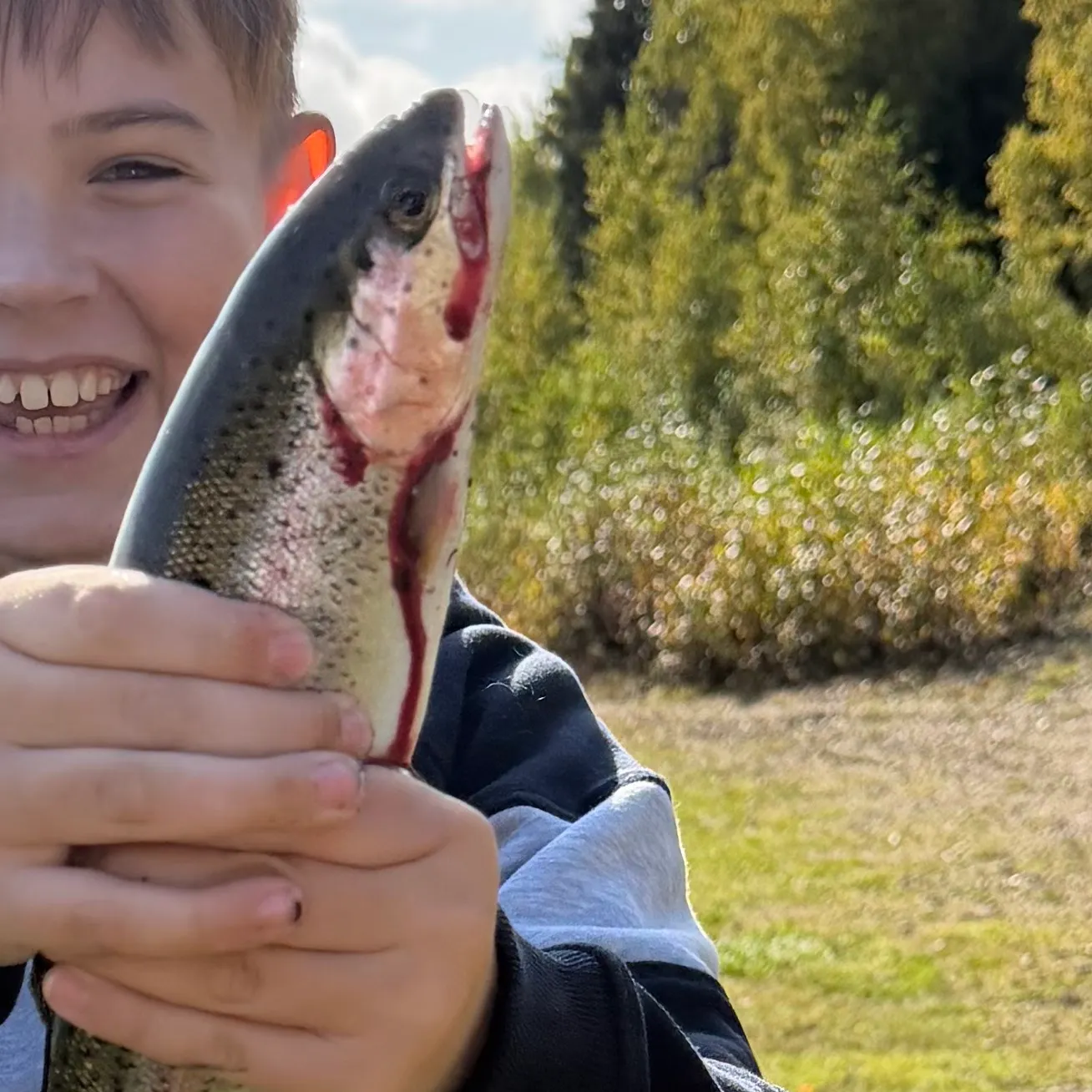 Rainbow trout caught on Fishbrain