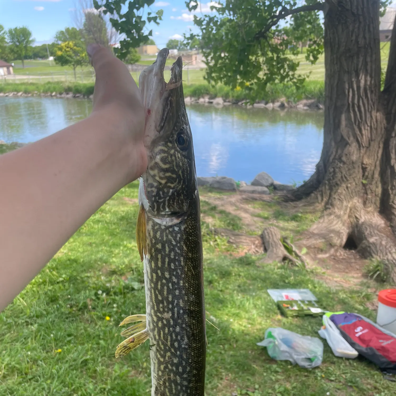 catch