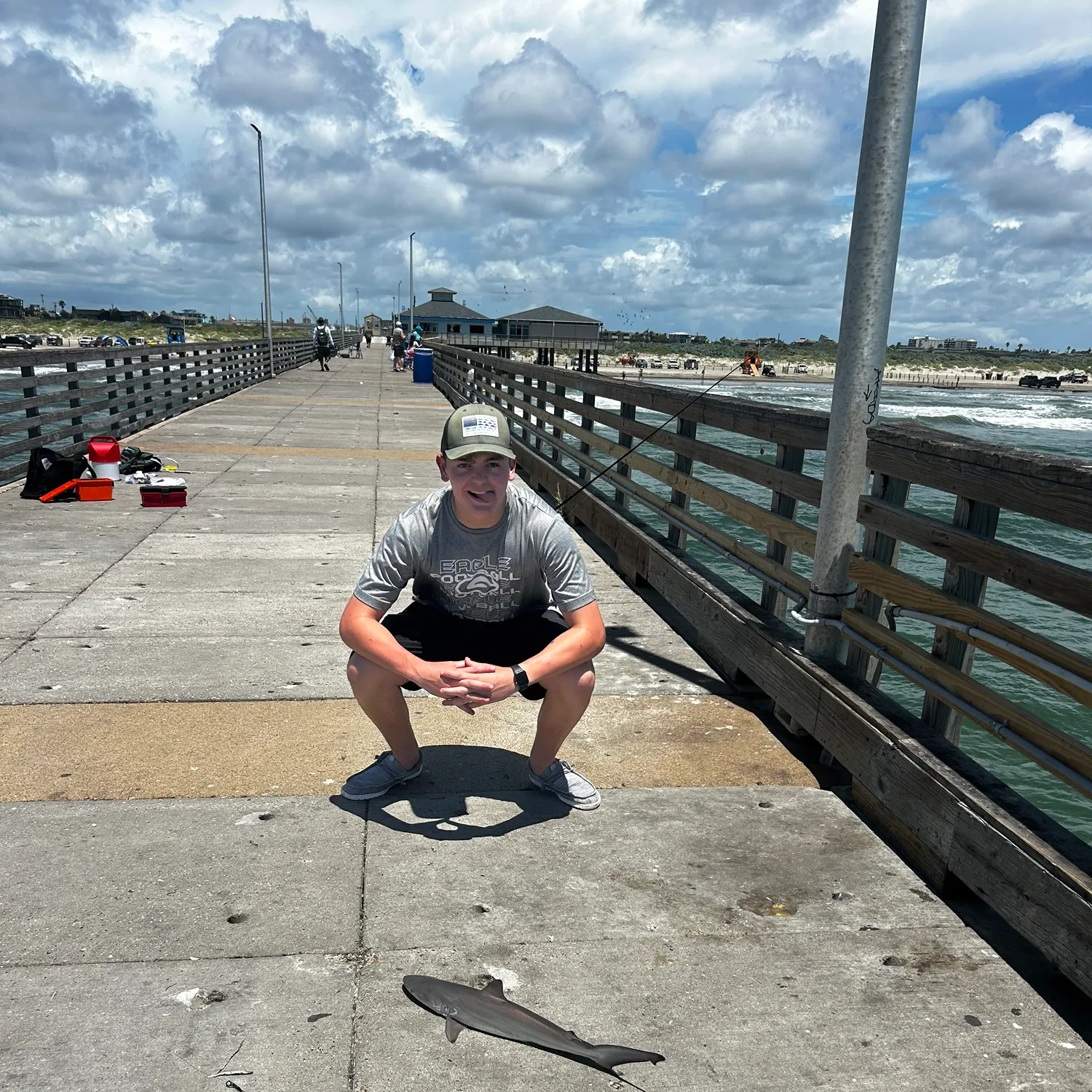 The most recent Blacknose shark catches on Fishbrain