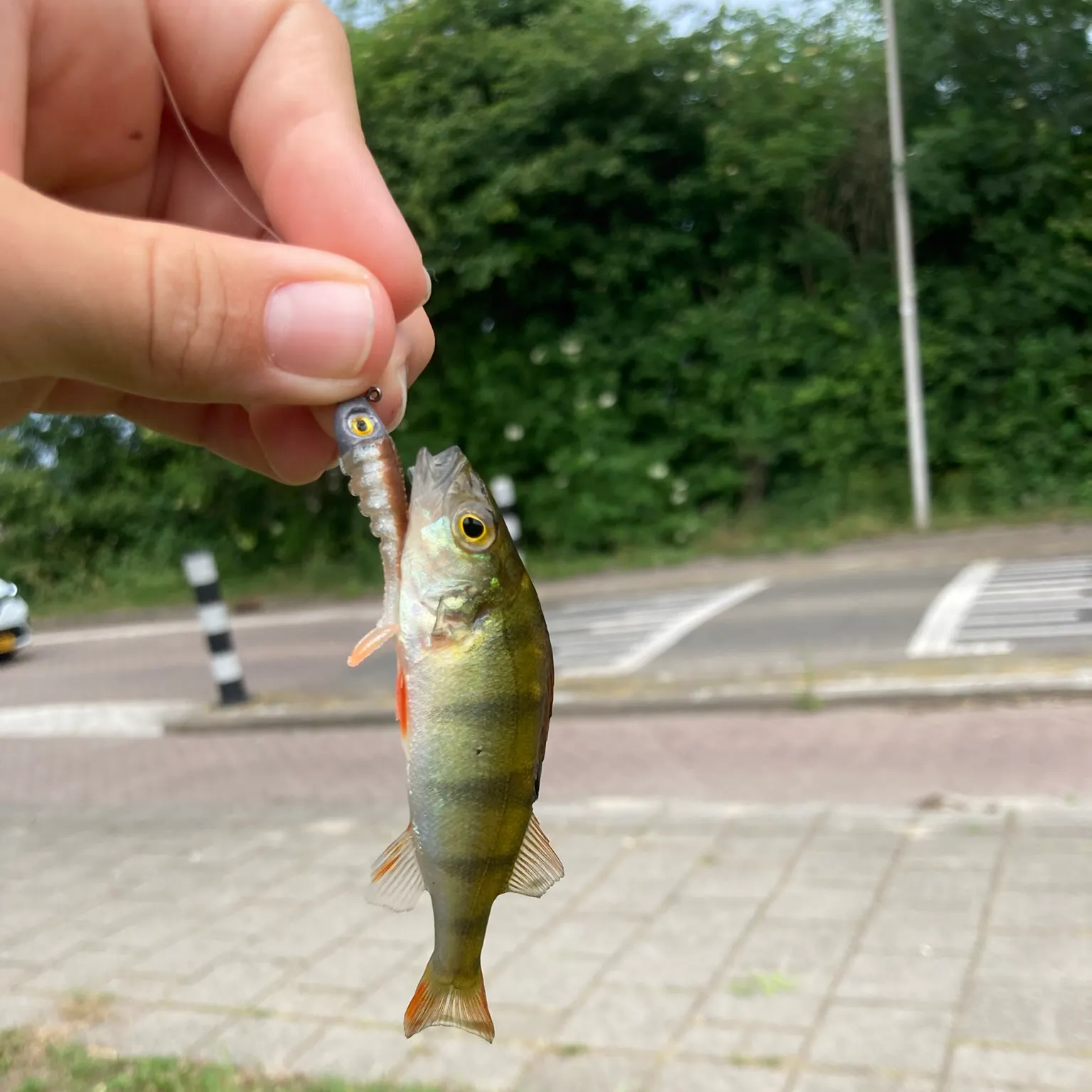 catch