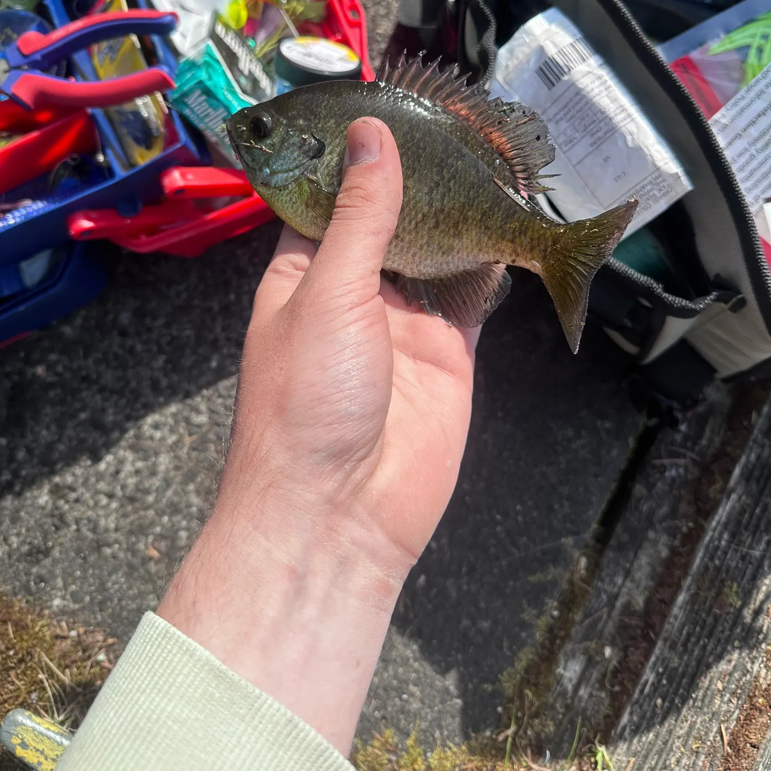 catch