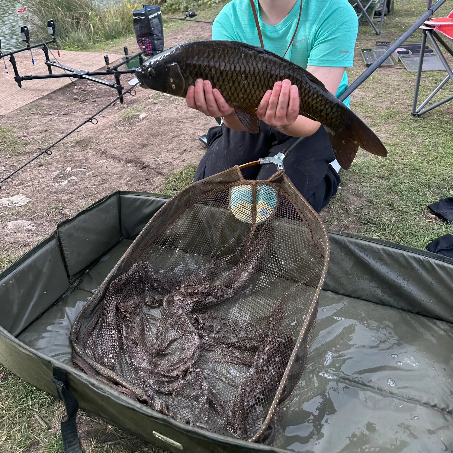 Common carp caught on Fishbrain