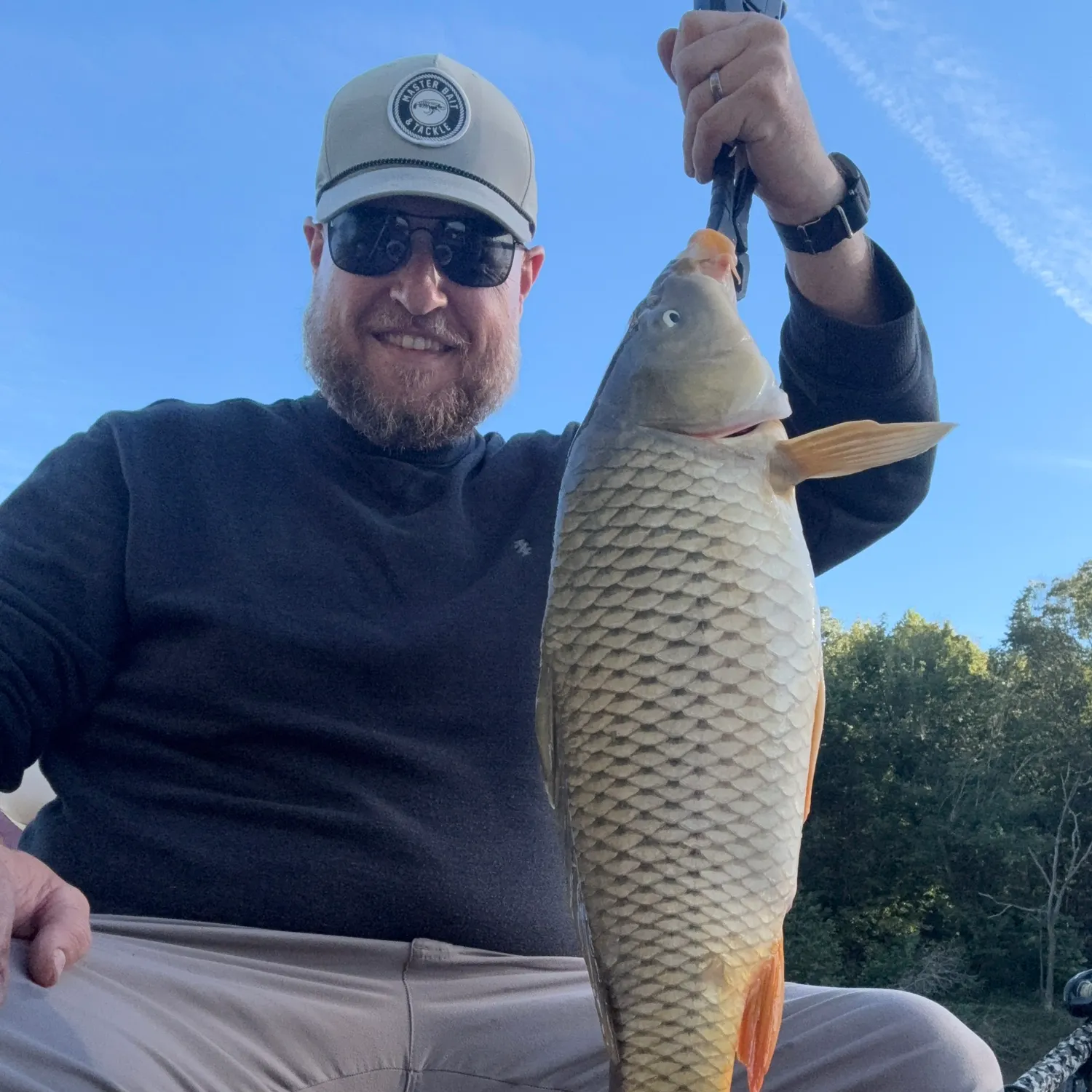 Common carp caught on Fishbrain