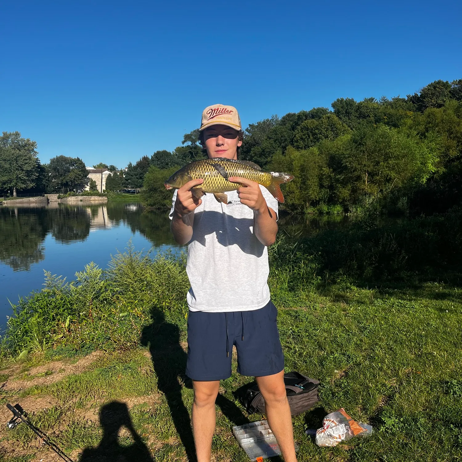 Common carp caught on Fishbrain