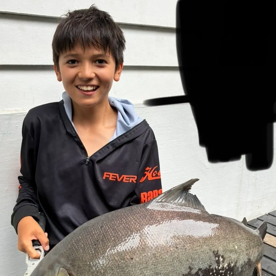 The most recent Black pacu catches on Fishbrain