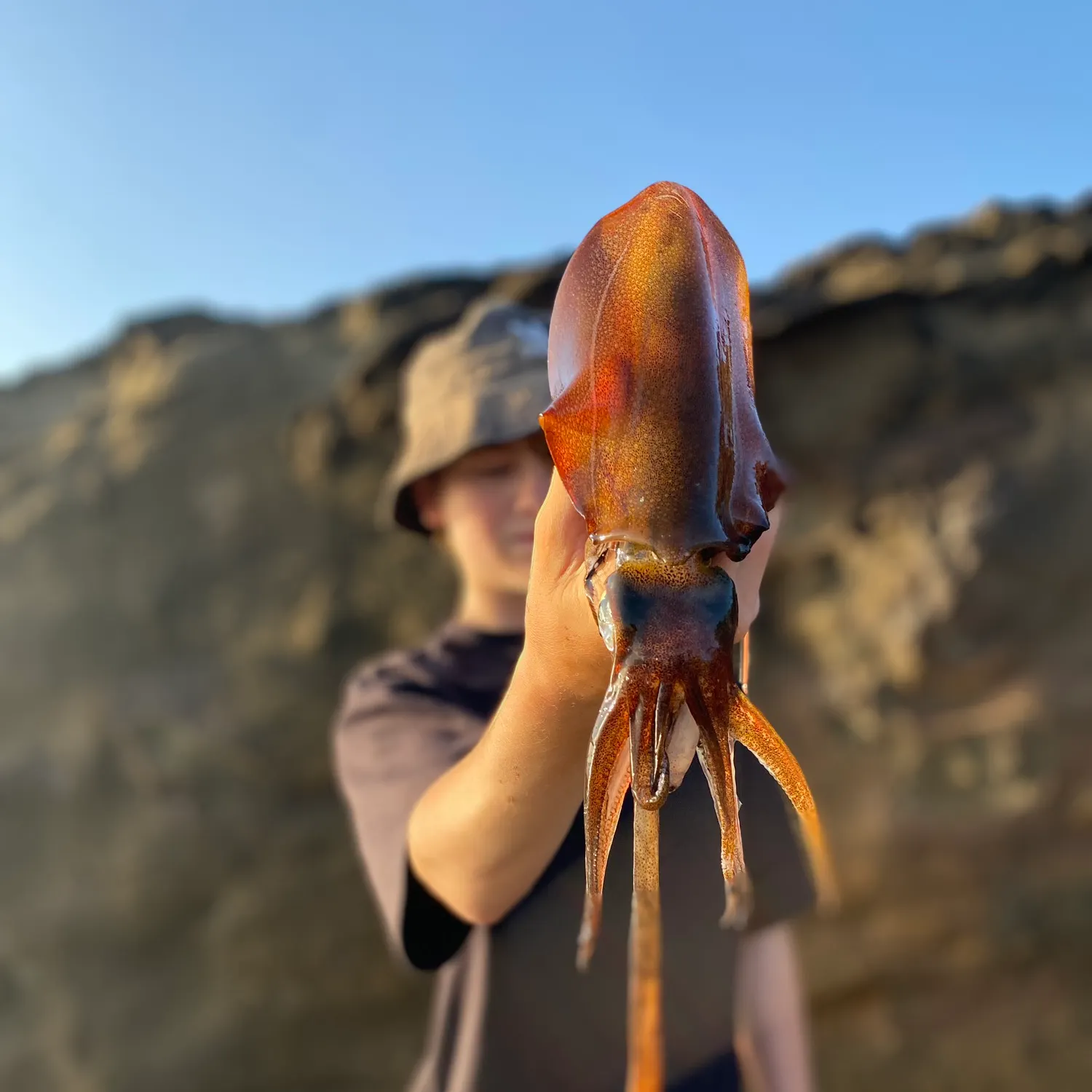 The most recent Southern calamari catches on Fishbrain