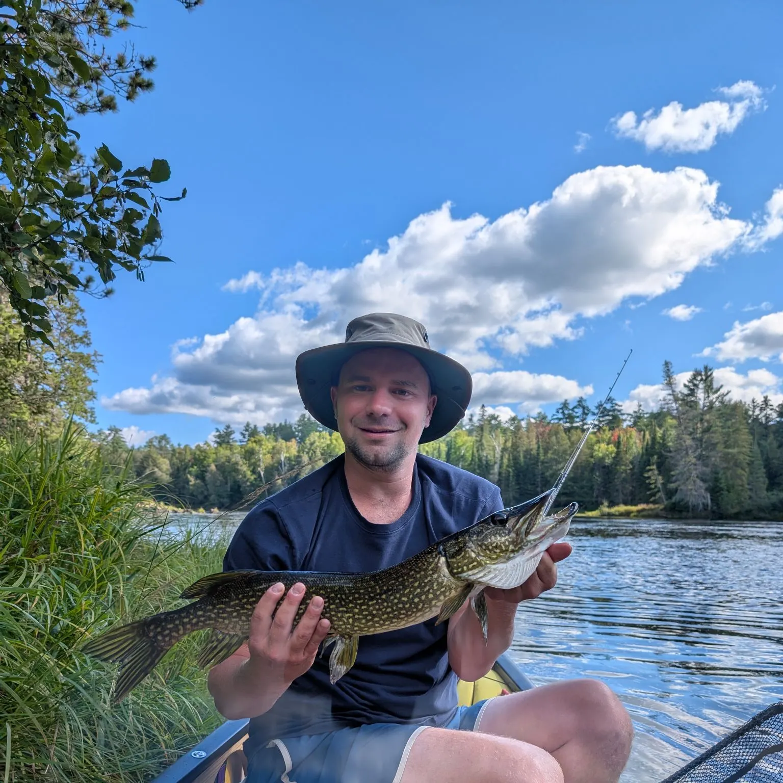 Northern pike caught on Fishbrain