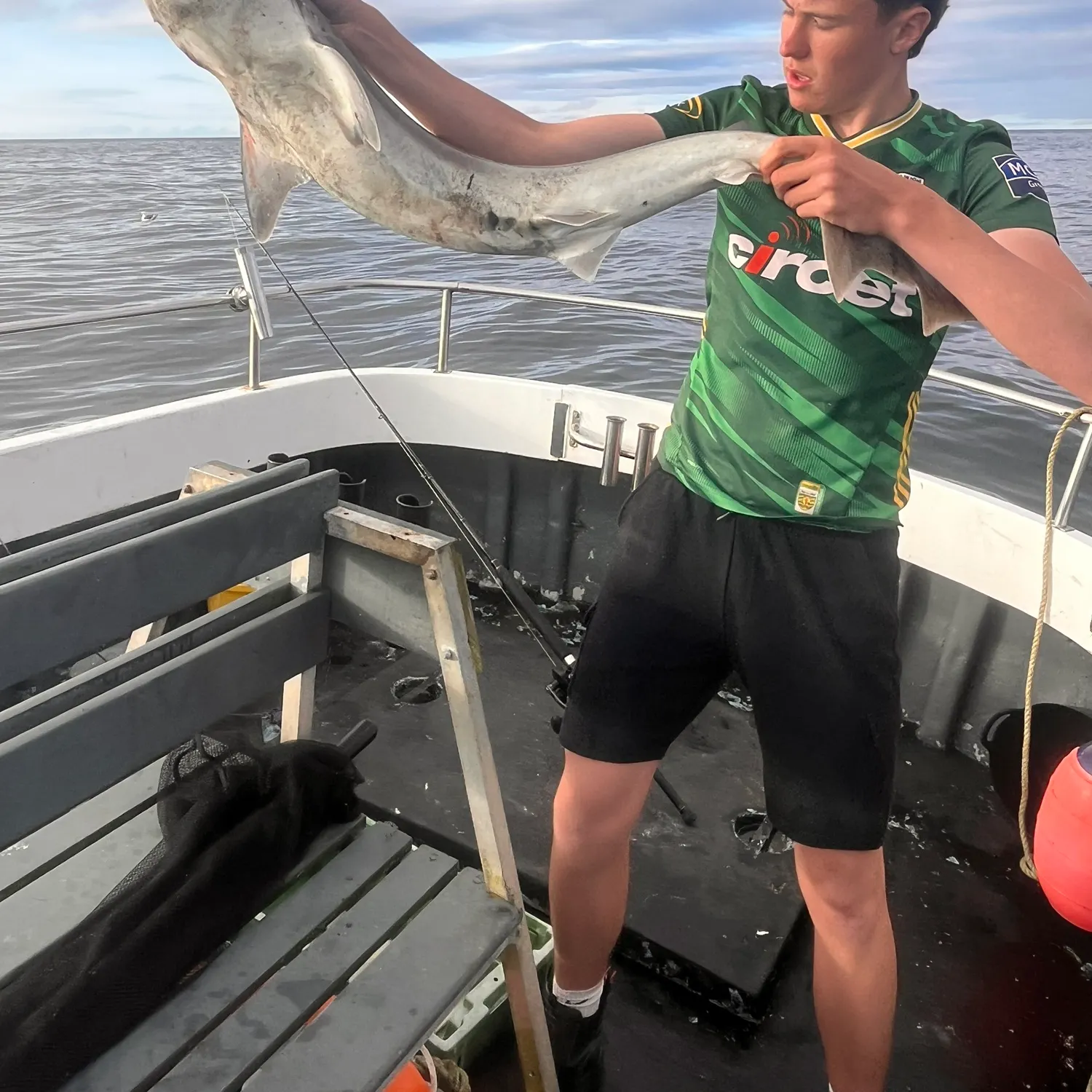 Tope shark caught on Fishbrain