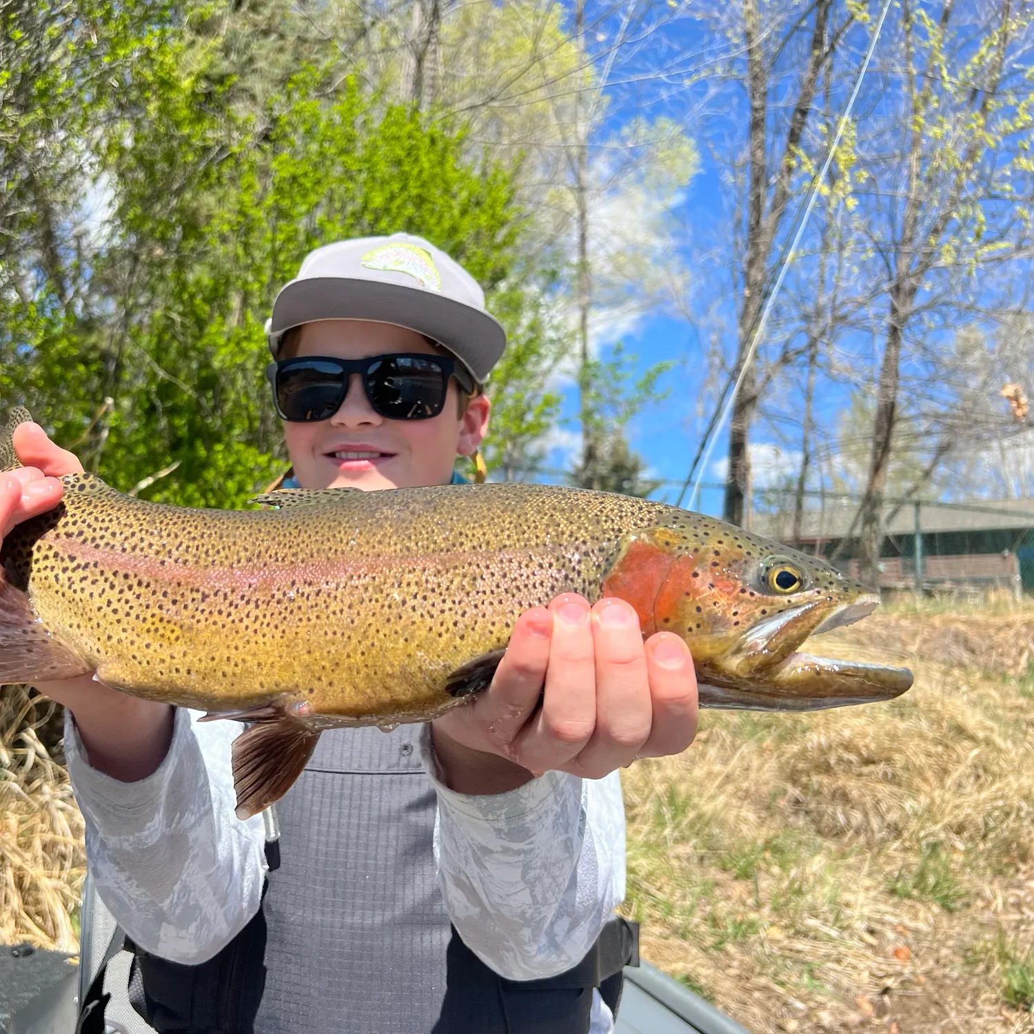 The most recent Greenback cutthroat trout catches on Fishbrain