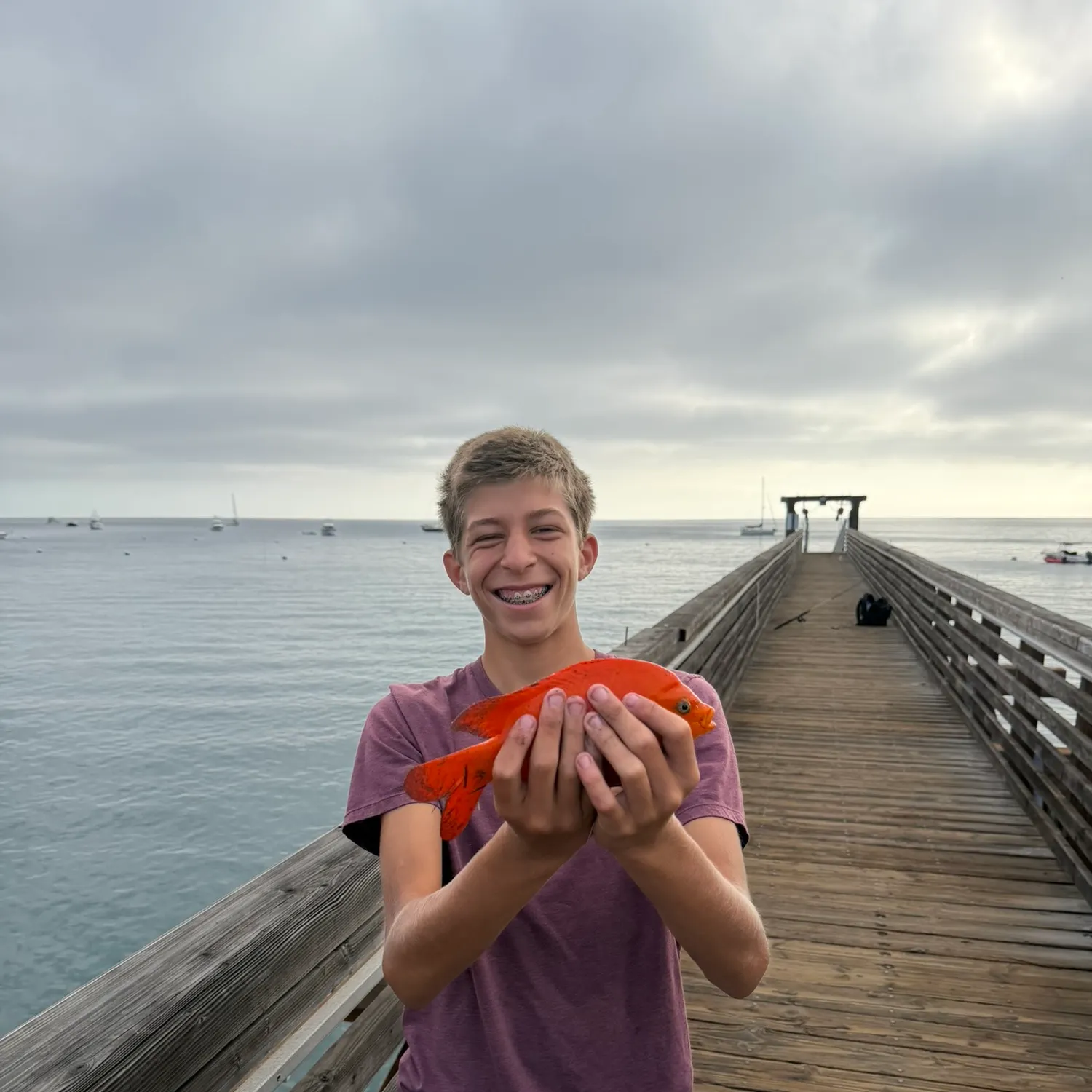 Garibaldi damselfish caught on Fishbrain