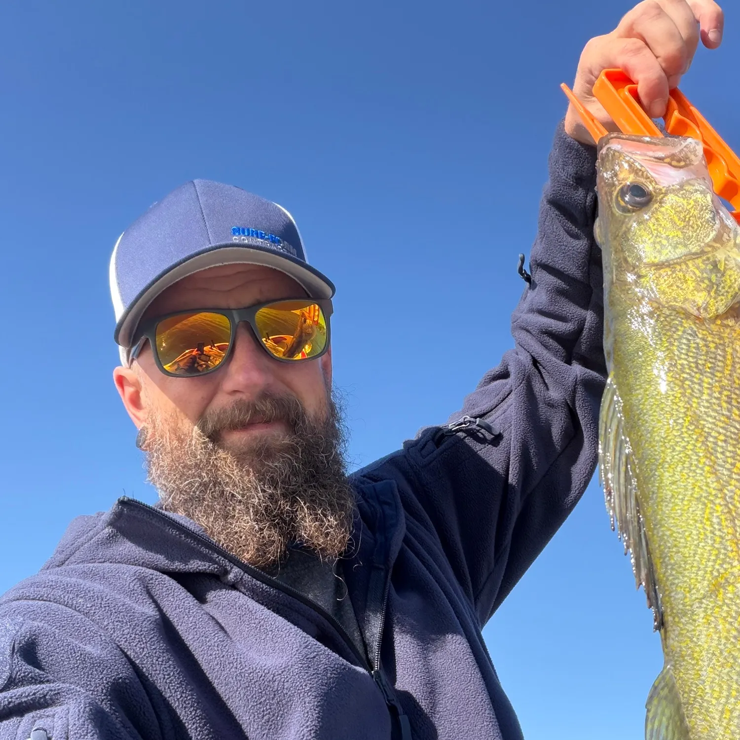 Walleye caught on Fishbrain