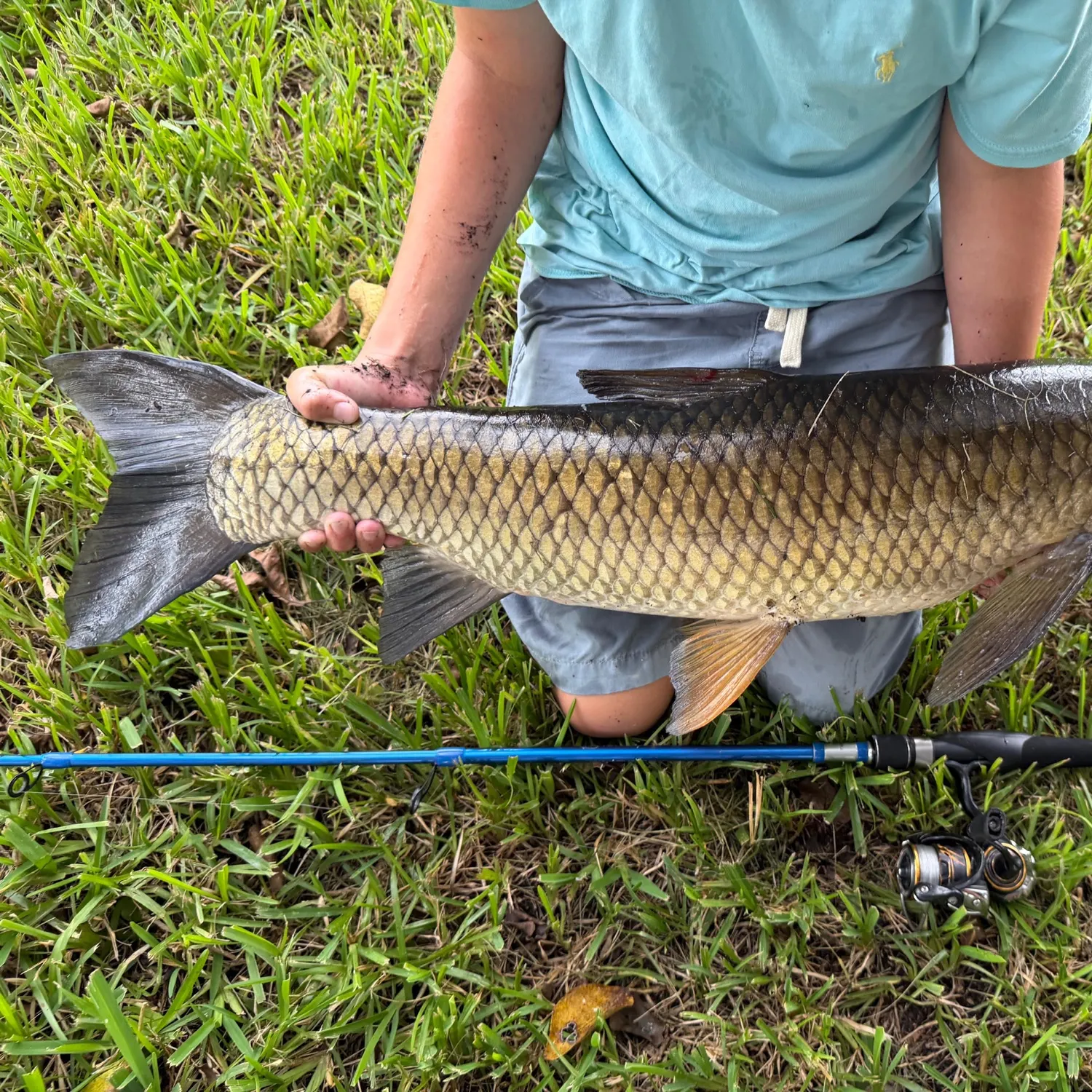 Grass carp caught on Fishbrain