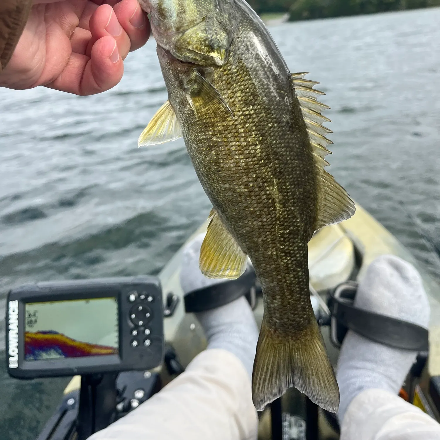 Smallmouth bass caught on Fishbrain