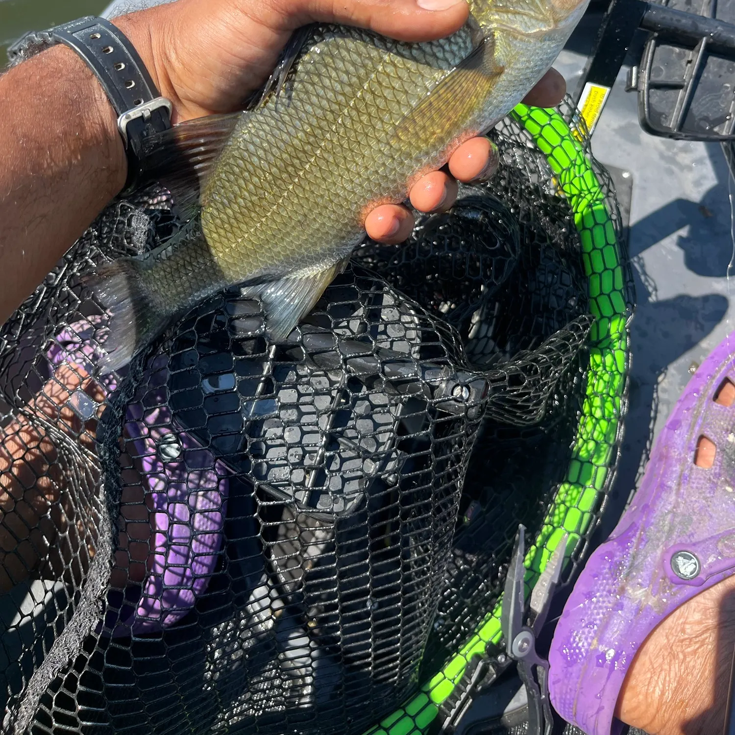 catch