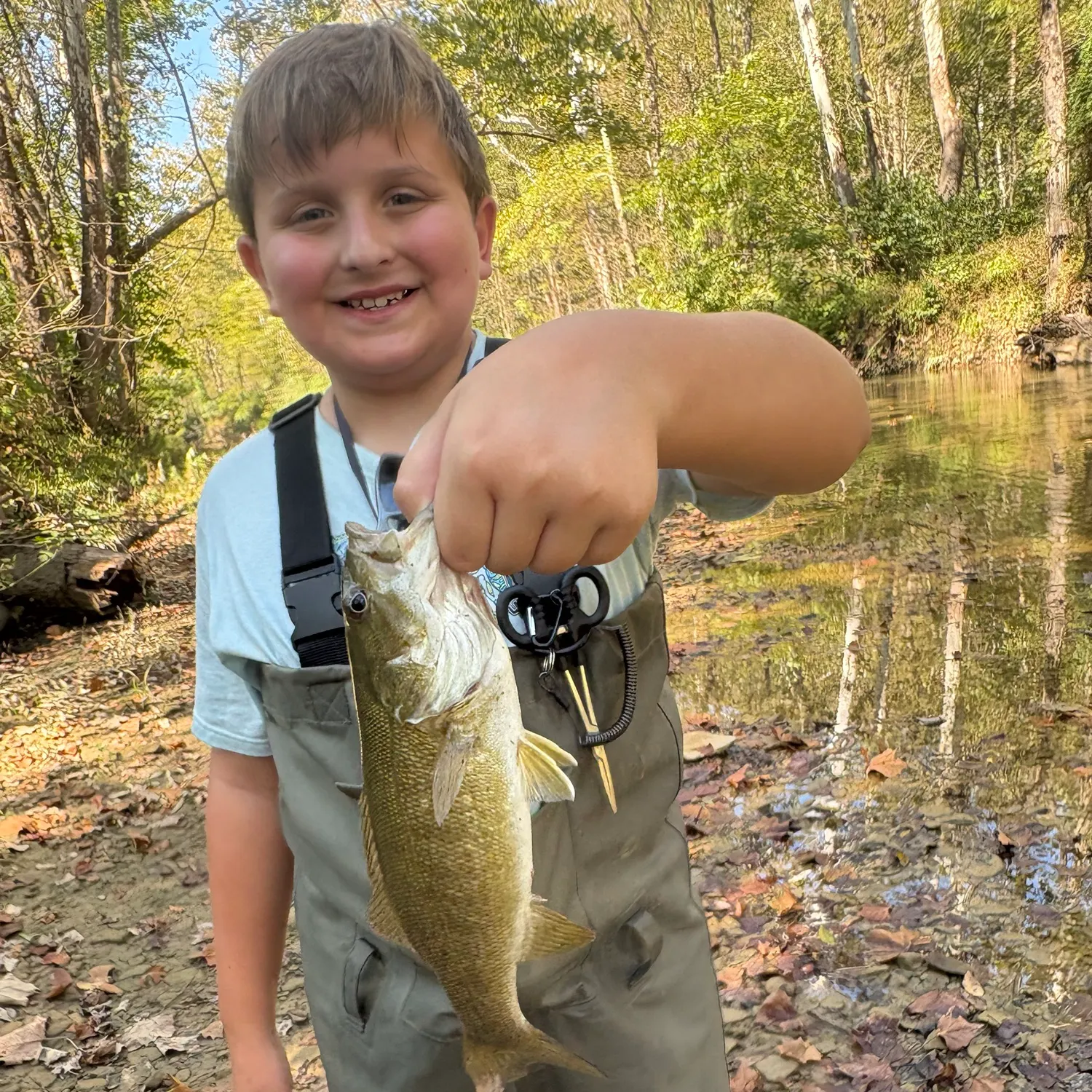 Smallmouth bass caught on Fishbrain