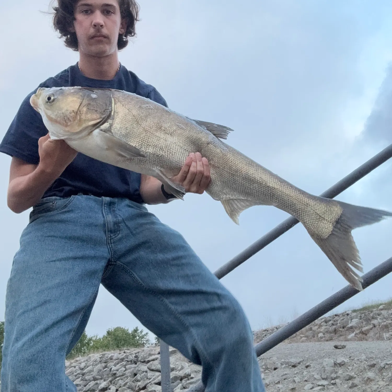 Silver carp caught on Fishbrain