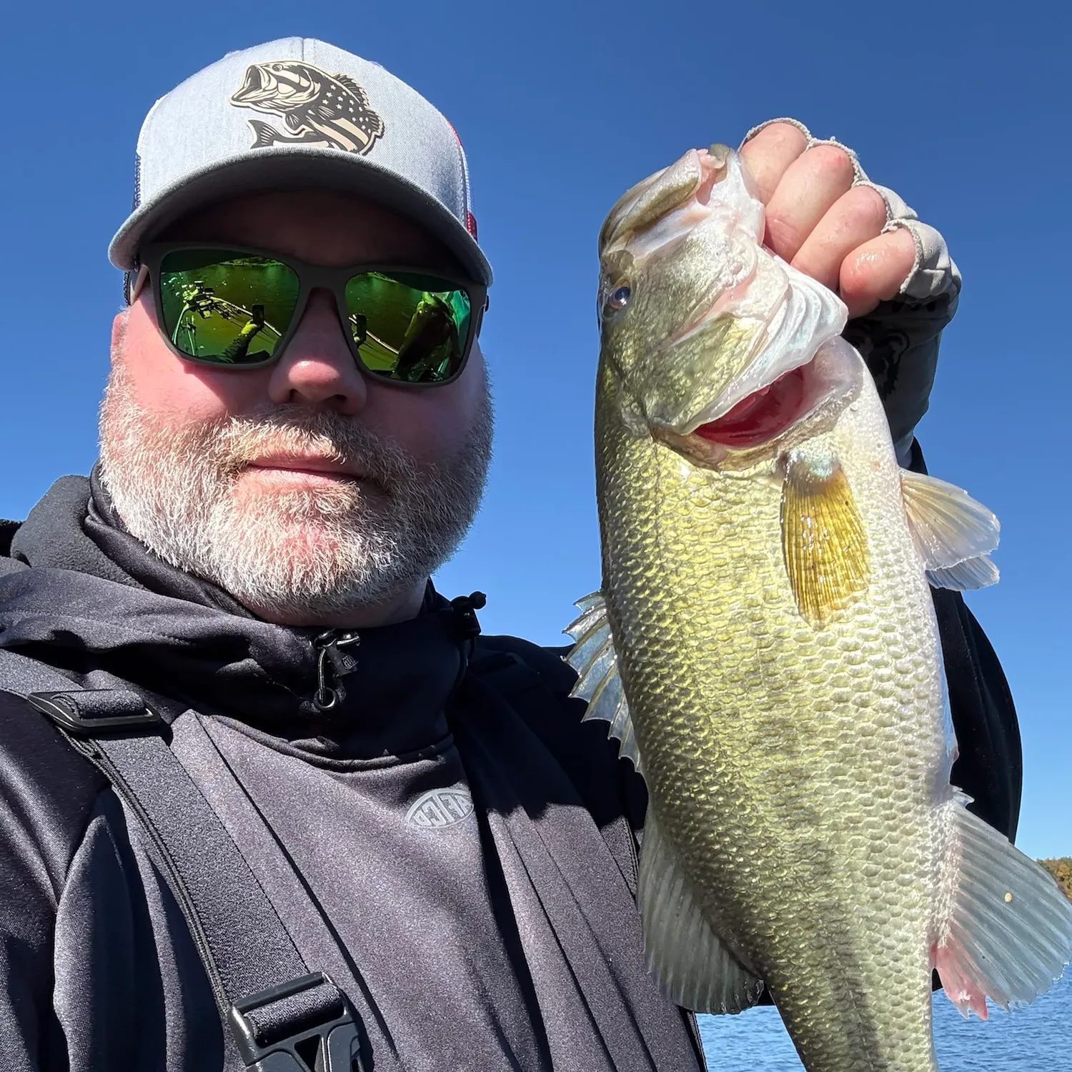 Largemouth bass caught on Fishbrain