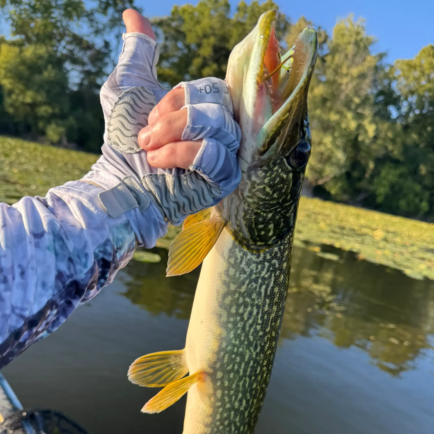 catch