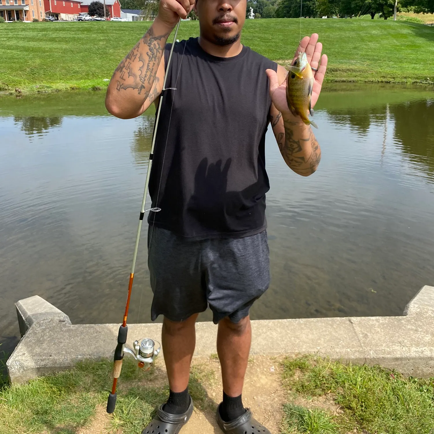 Bluegill caught on Fishbrain