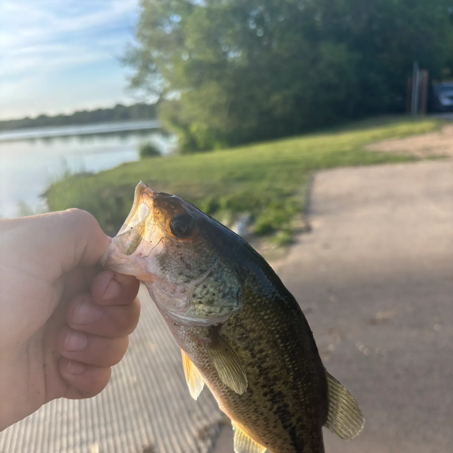 catch